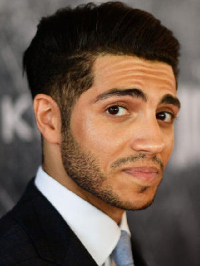 Enriched Perspectives :  MENA and Arab  Actors and Producers Making Waves in Hollywood