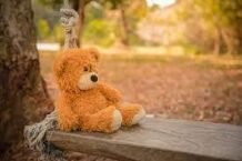 Teddy Day: The Day of Cuddles and Love